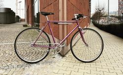 Singlespeed Favorit
