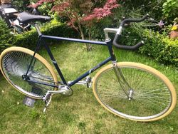 RALEIGH - fixka vel. 60