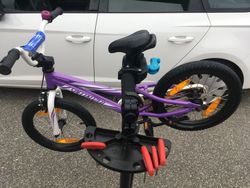 Specialized Hotrock