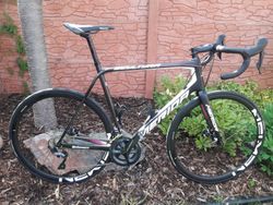 Merida scultura disc