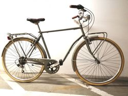 Městské pánské kolo ALPINA Viaggio Man 28''