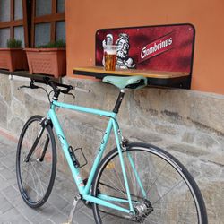Singlespeed Sfinx