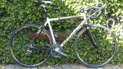 Pell´s Speedy