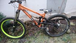 HARO x 6