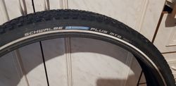 Schwalbe