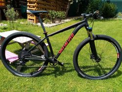 Specialized Rockhopper 29