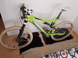 Cannondale Rize L carbon