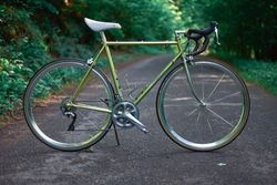 Zeleznak na sade R7000, C-C 54cm