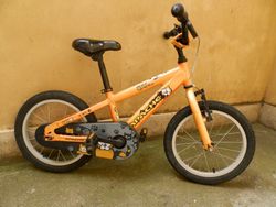 Apache Cat 16"