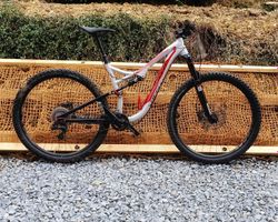 Specialized StumpJumper 29
