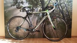 Cannondale Synapse - celo karbon