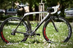 Orbea - orca