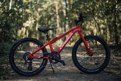 Orbea MX 20 Team (2019) / NOVÉ