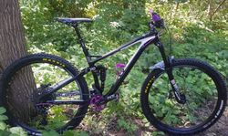 KELLYS SLANGER 30 2019 CUSTOM DTSWISS