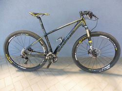Focus Raven 29 Carbon