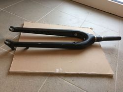 Specialized Chisel Carbon 29er Rigid Fork Mtb
