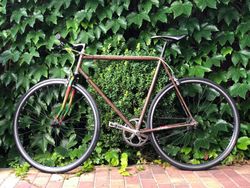 Singlespeed vel.54