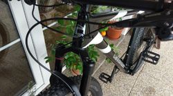 Cannondale F-Si Carbon 5 2020