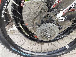 Trek Session