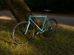 Citybike dvourychlostni