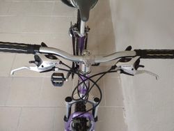dívčí, dámské kolo TREK MTB
