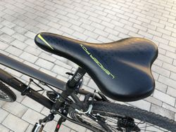 Leader Fox Toscana gent