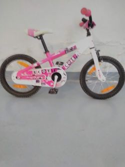 Scott 16"