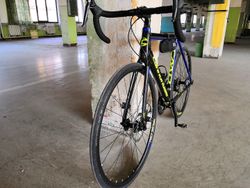 Cannondale Optimo Tiagra 2017