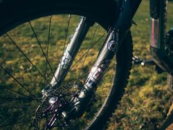 Cane Creek Helm coil, 29er, 44mm offset