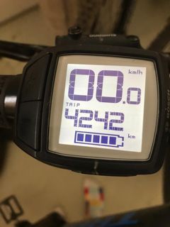 Trek Powerfly 5 19,5"