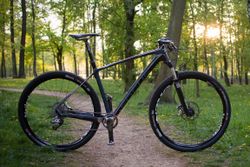Focus Raven 29r