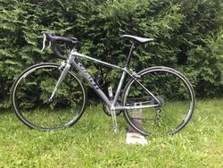 Prodám silniční kolo Giant