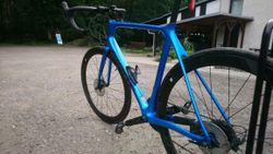 Giant TCR Pro 2 disc ( +watt.) model 2020