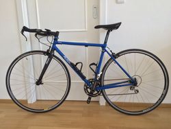 Ritchey Breakaway Road & Travel Case