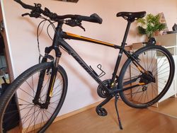 Specialized crosstrail
