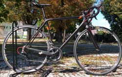 Scott addict SL