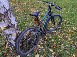 Trek Superfly 20