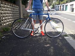 Fixie Favorit
