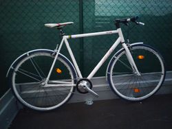 Singlespeed Bílá