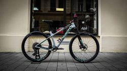 Rock Machine Catherine Carbon 30