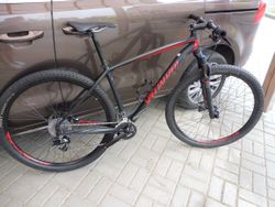 Specialized Stumpjumper 29