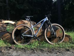 RM Torrent 90-29