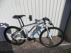 JUNIOR CANNONDALE 26