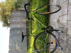 Cannondale caad optima tiagra 2019