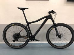 IBIS DV9 SRAM XX1, MAVIC CROSSMAX Elite Carbon