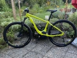 Turbo levo HT Comp 29” 2020, vel. M