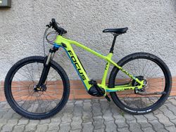 Focus Bolt 2