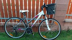 Dámské Trekingové kolo Author Sport Cross Linea Alloy 6061