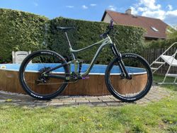 Giant Reign 29 2 2020