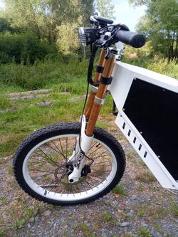 Elektrokolo Bomber bike